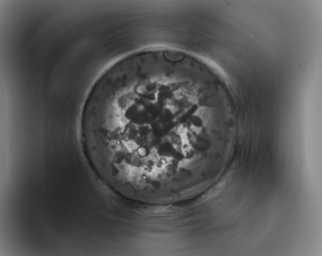 X0000094231279200711161902