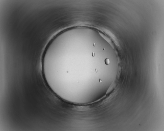 X0000094231280200711161902