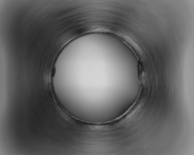 X0000094231281200711161902