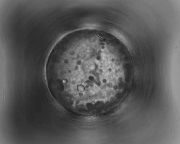 X0000094231283200711161902