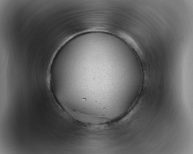 X0000094231284200711161902