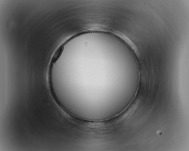 X0000094231285200711161902