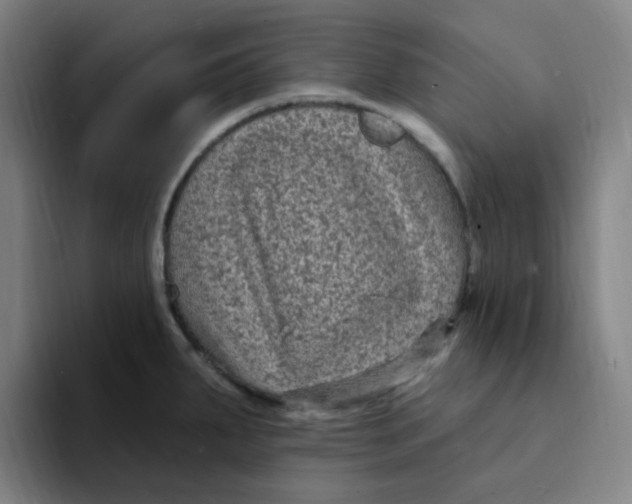 X0000094231287200711161902