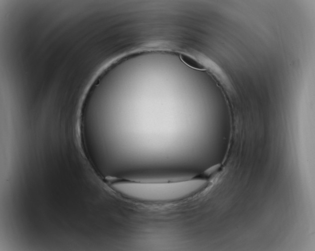 X0000094231288200711161902