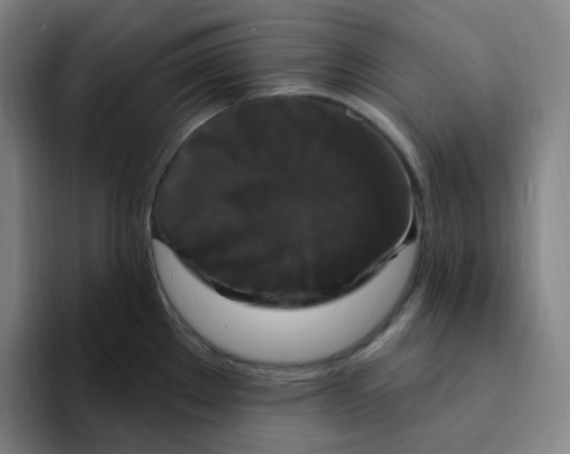 X0000094231289200711161902