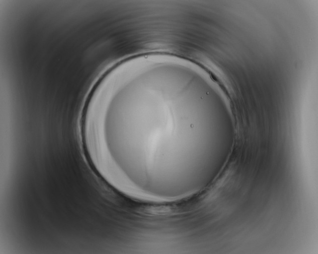 X0000094231291200711161902