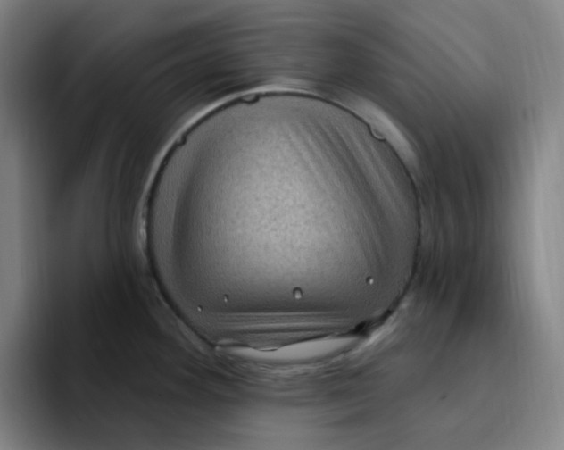 X0000094231292200711161902