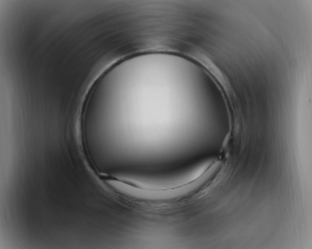 X0000094231293200711161902