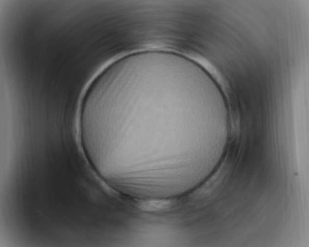 X0000094231294200711161902