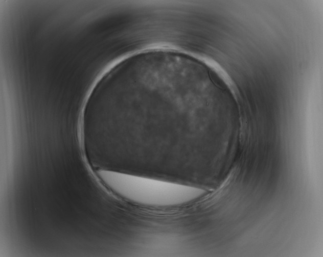 X0000094231295200711161902