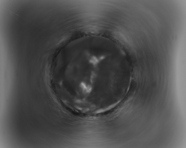 X0000094231297200711161901