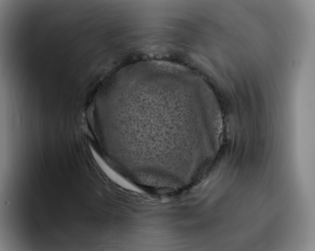 X0000094231298200711161901