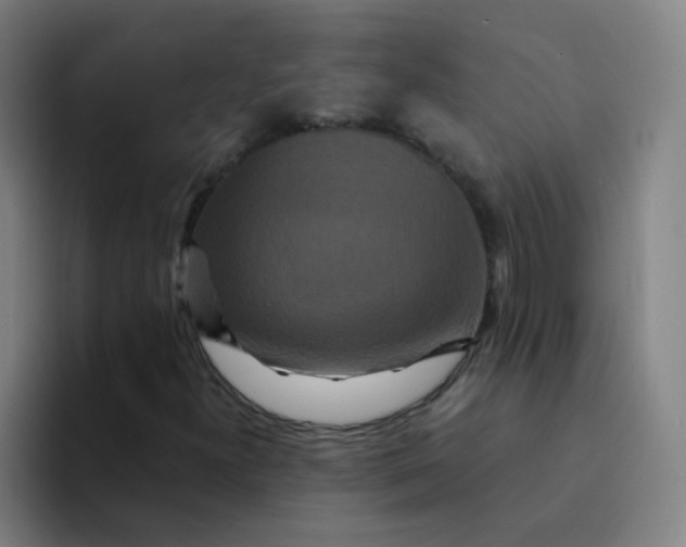 X0000094231300200711161901