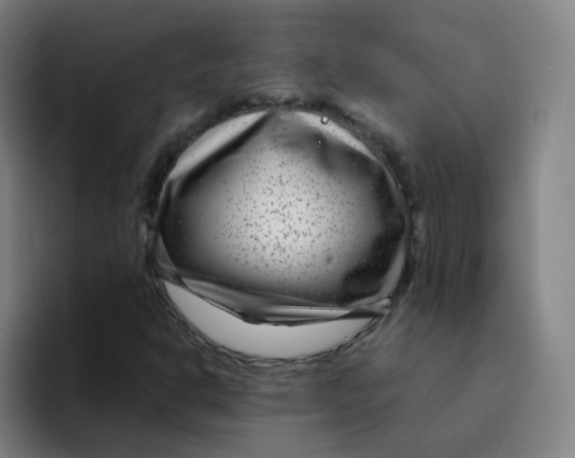 X0000094231302200711161901