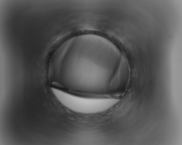 X0000094231303200711161901