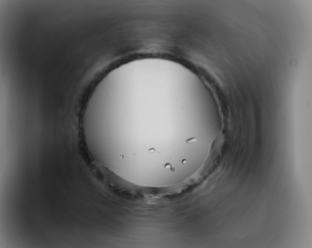 X0000094231304200711161901