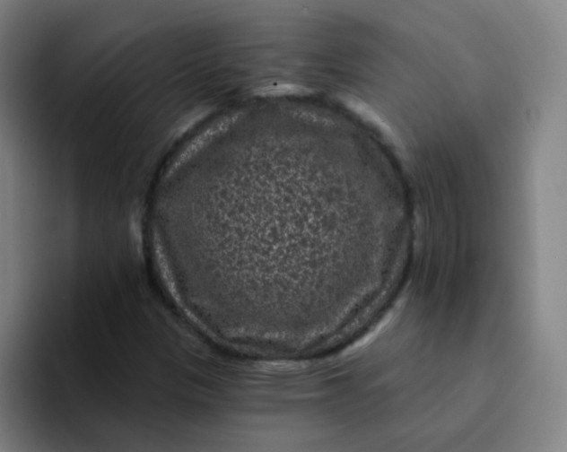 X0000094231305200711161901