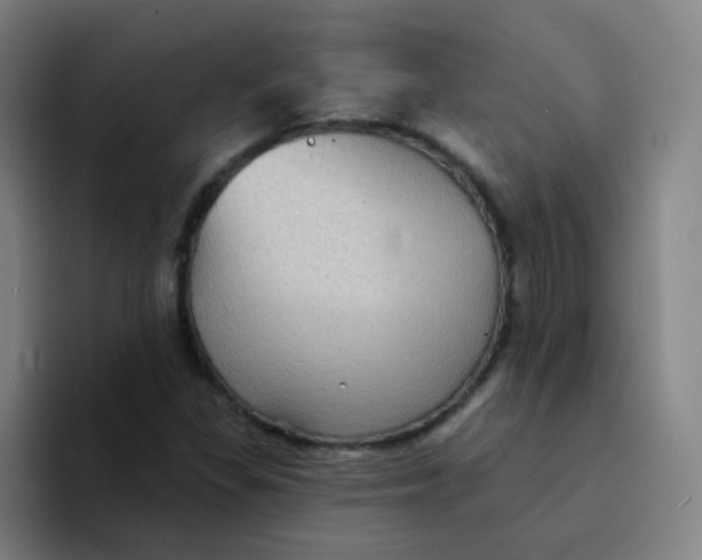 X0000094231309200711161901