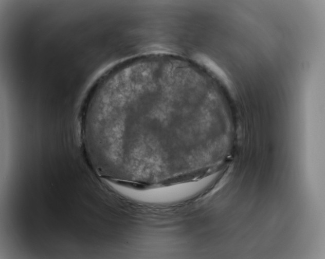 X0000094231310200711161901