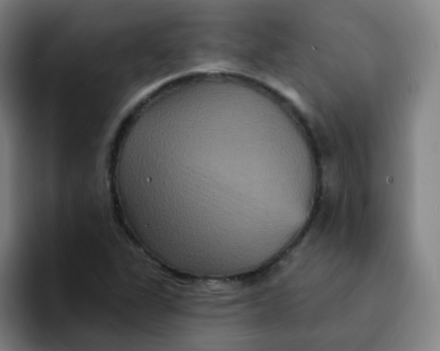 X0000094231311200711161901