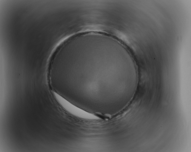 X0000094231312200711161901