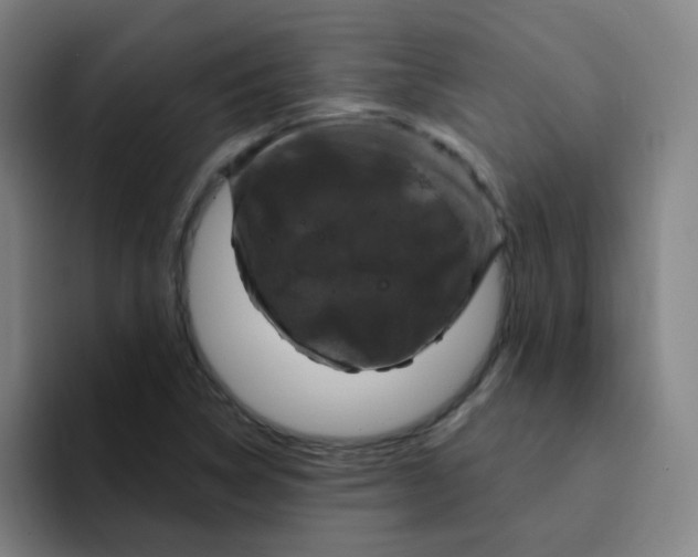 X0000094231314200711161901