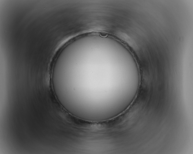 X0000094231316200711161901