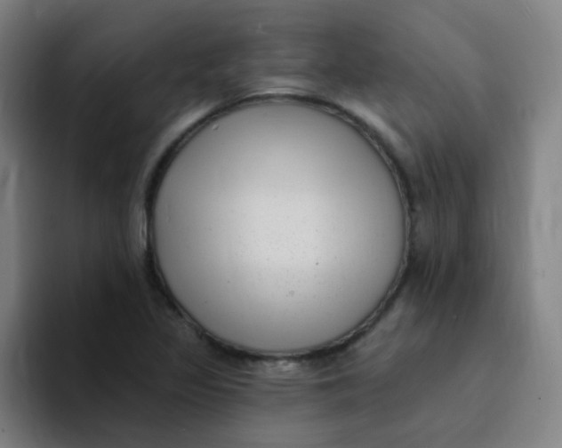 X0000094231317200711161901