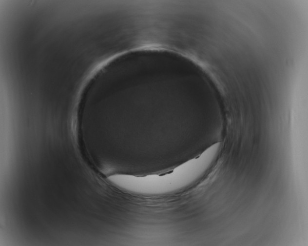 X0000094231319200711161901