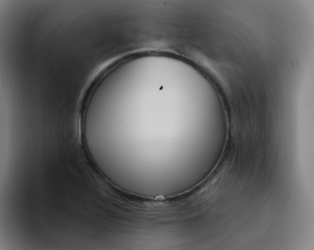 X0000094231320200711161901