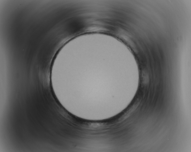 X0000094231322200711161901