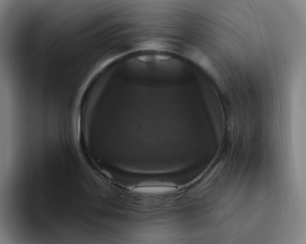 X0000094231323200711161901