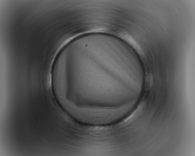 X0000094231324200711161901