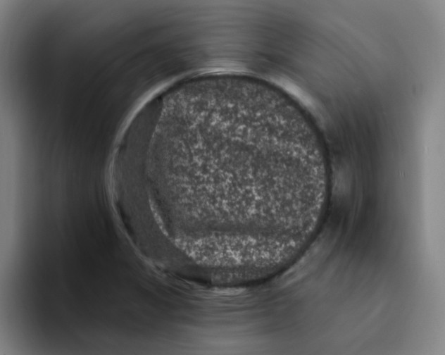 X0000094231325200711161901