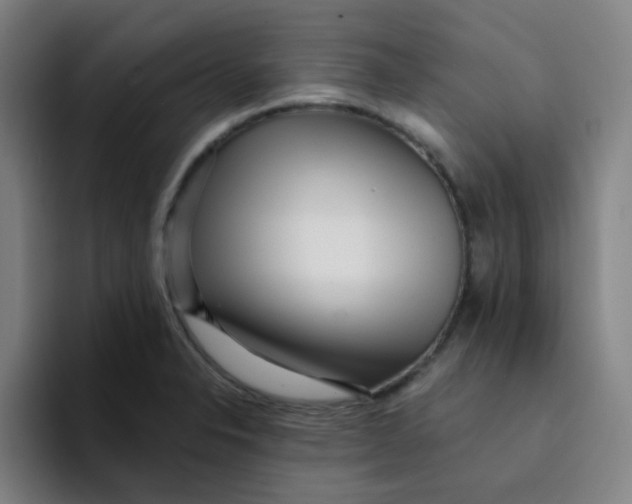 X0000094231326200711161901