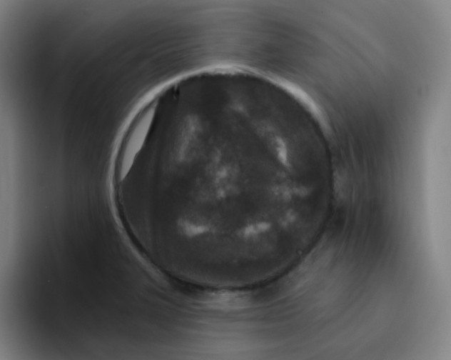 X0000094231327200711161901