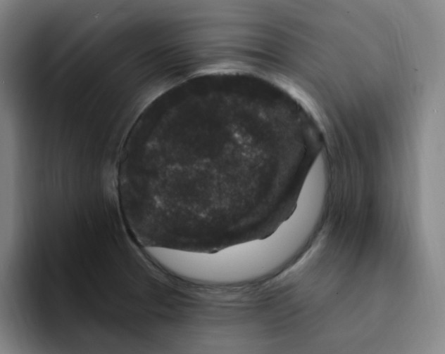 X0000094231329200711161901