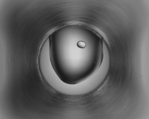 X0000094231330200711161901