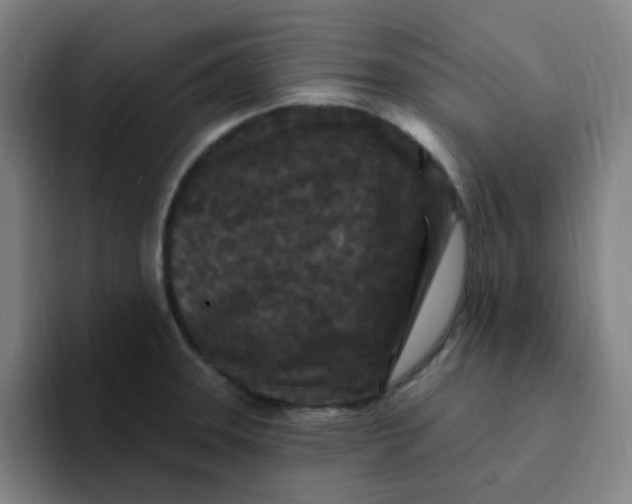 X0000094231331200711161901