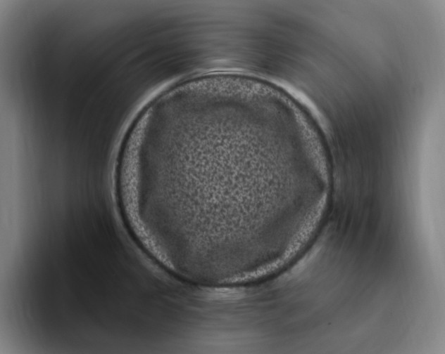 X0000094231333200711161901