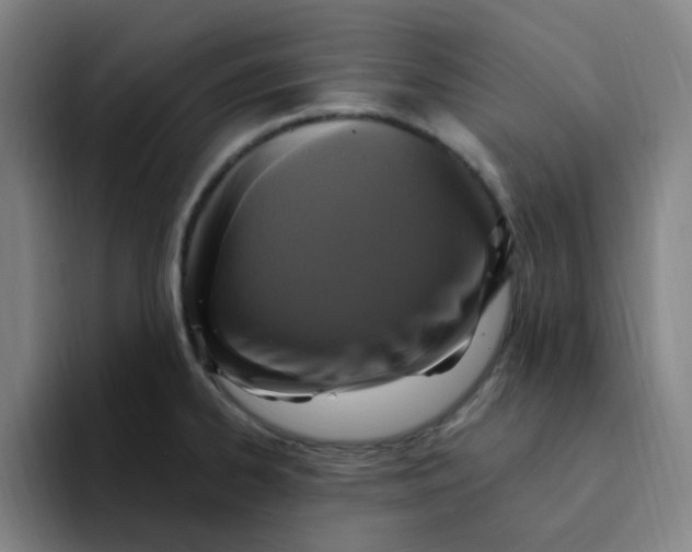 X0000094231334200711161901