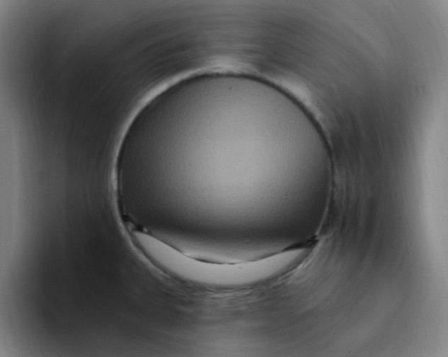 X0000094231335200711161901