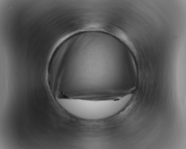 X0000094231336200711161901