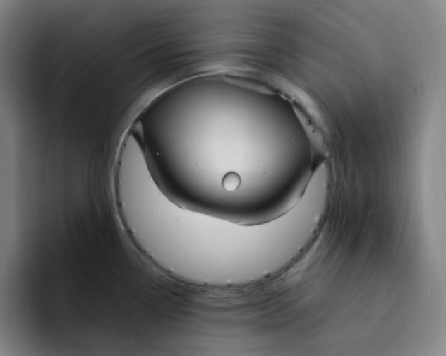 X0000094231338200711161901