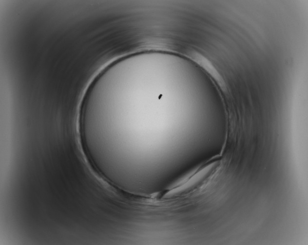 X0000094231339200711161902