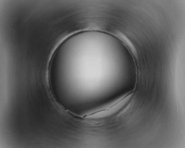 X0000094231340200711161902