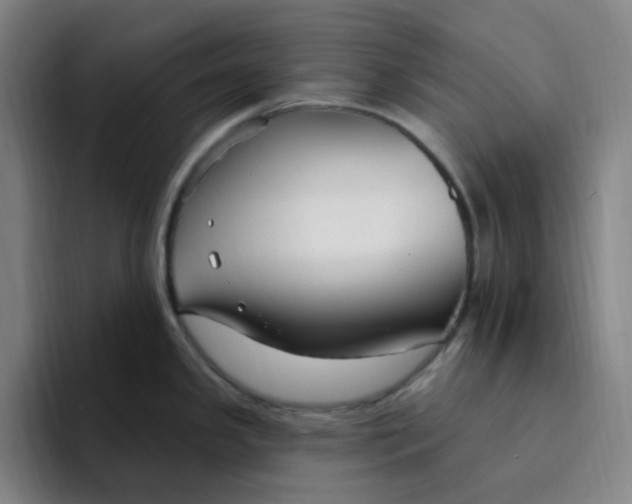 X0000094231341200711161902