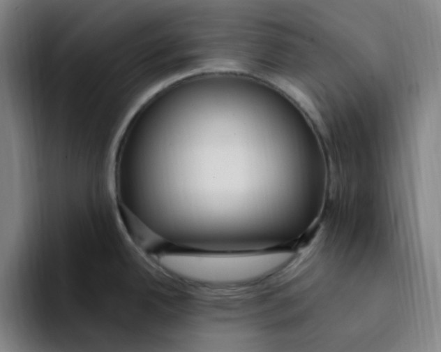 X0000094231342200711161902