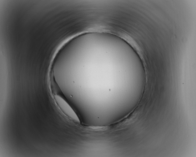 X0000094231344200711161902