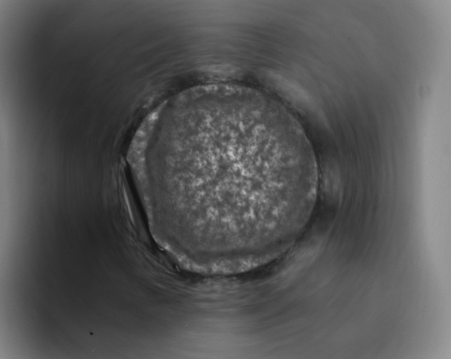 X0000094231346200711161901